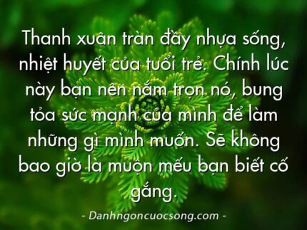 Thanh xuân tràn đầy nhựa sống, nhiệt huyết của tuổi trẻ. Chính lúc này bạn nên nắm trọn nó, bung tỏa sức mạnh của mình để làm những gì mình muốn. Sẽ không bao giờ là muộn mếu bạn biết cố gắng.