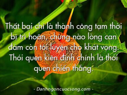 Thất bại chỉ là thành công tạm thời bị trì hoãn, chừng nào lòng can đảm còn tôi luyện cho khát vọng. Thói quen kiên định chính là thói quen chiến thắng.