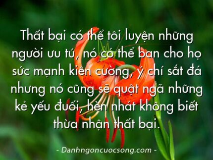 Thất bại có thể tôi luyện những người ưu tú, nó có thể ban cho họ sức mạnh kiên cường, ý chí sắt đá nhưng nó cũng sẽ quật ngã những kẻ yếu đuối, hèn nhát không biết thừa nhận thất bại.