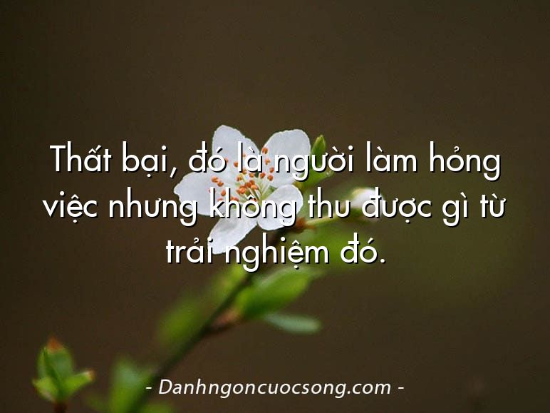 Thất bại, đó là người làm hỏng việc nhưng không thu được gì từ trải nghiệm đó.