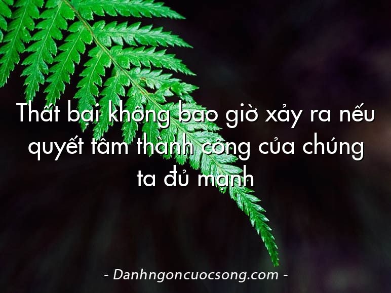 Thất bại không bao giờ xảy ra nếu quyết tâm thành công của chúng ta đủ mạnh