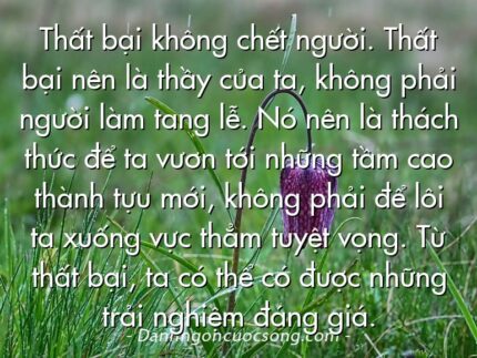 Thất bại không chết người. Thất bại nên là thầy của ta, không phải người làm tang lễ. Nó nên là thách thức để ta vươn tới những tầm cao thành tựu mới, không phải để lôi ta xuống vực thẳm tuyệt vọng. Từ thất bại, ta có thể có được những trải nghiệm đáng giá.