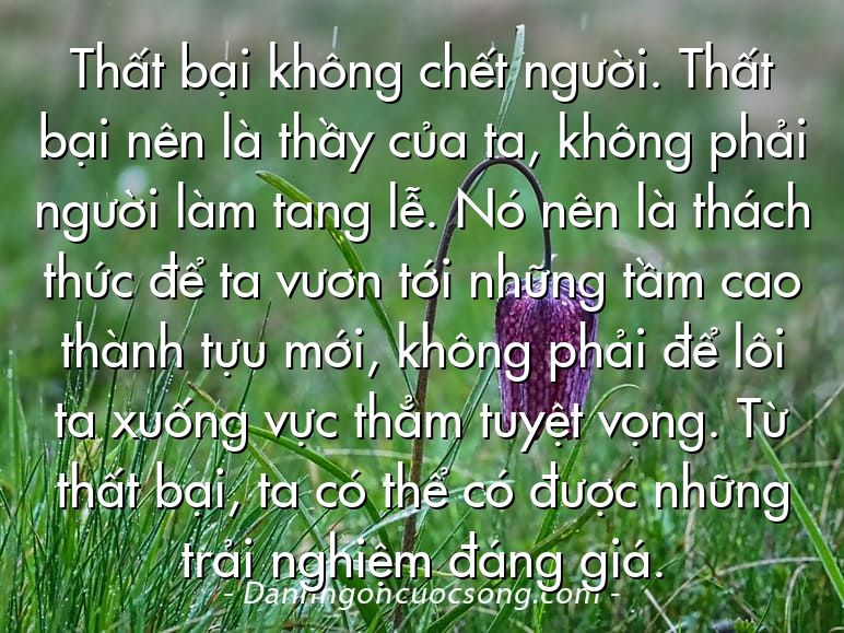 Thất bại không chết người. Thất bại nên là thầy của ta, không phải người làm tang lễ. Nó nên là thách thức để ta vươn tới những tầm cao thành tựu mới, không phải để lôi ta xuống vực thẳm tuyệt vọng. Từ thất bại, ta có thể có được những trải nghiệm đáng giá.