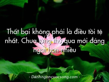 Thất bại không phải là điều tồi tệ nhất. Chưa từng thử qua mới đáng ngại hơn nhiều