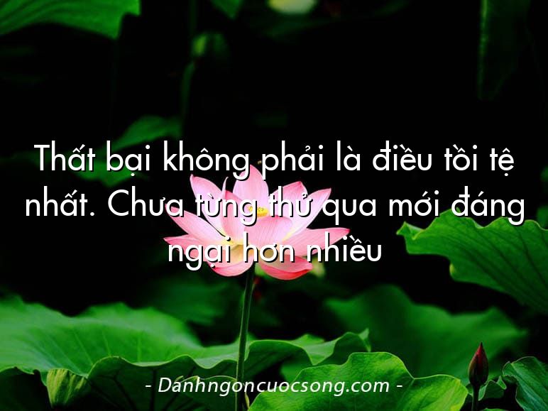Thất bại không phải là điều tồi tệ nhất. Chưa từng thử qua mới đáng ngại hơn nhiều