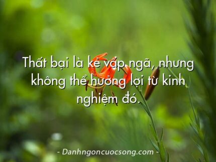 Thất bại là kẻ vấp ngã, nhưng không thể hưởng lợi từ kinh nghiệm đó.