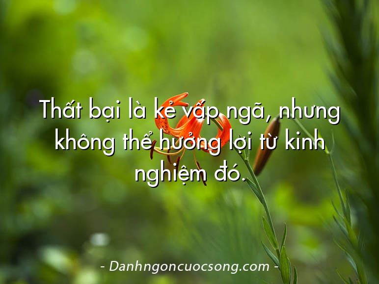 Thất bại là kẻ vấp ngã, nhưng không thể hưởng lợi từ kinh nghiệm đó.