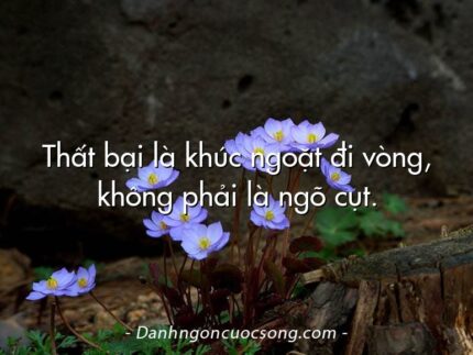 Thất bại là khúc ngoặt đi vòng, không phải là ngõ cụt.