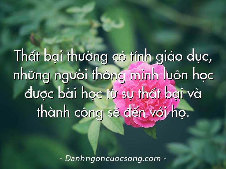Thất bại thường có tính giáo dục, những người thông minh luôn học được bài học từ sự thất bại và thành công sẽ đến với họ.