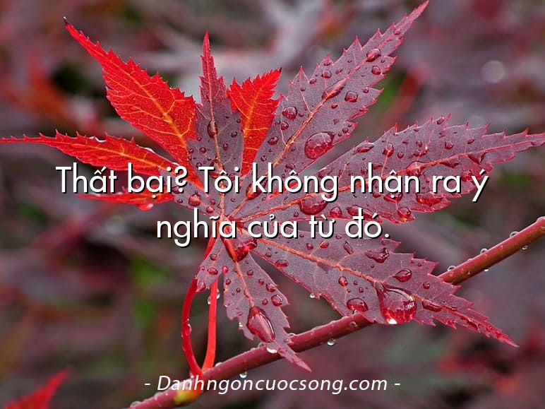 Thất bại? Tôi không nhận ra ý nghĩa của từ đó.