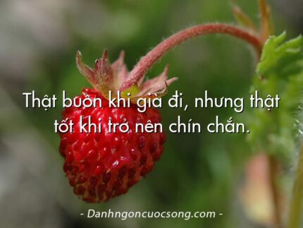 Thật buồn khi già đi, nhưng thật tốt khi trở nên chín chắn.