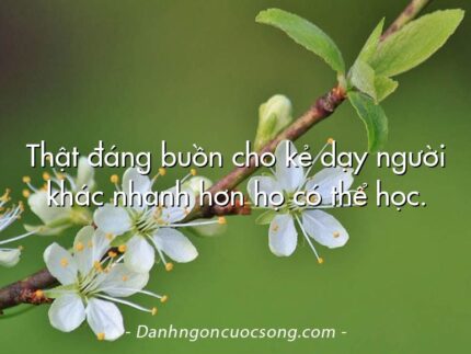 Thật đáng buồn cho kẻ dạy người khác nhanh hơn họ có thể học.