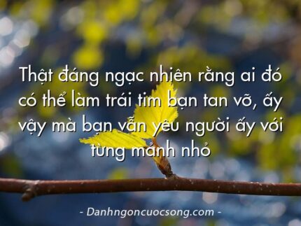 Thật đáng ngạc nhiên rằng ai đó có thể làm trái tim bạn tan vỡ, ấy vậy mà bạn vẫn yêu người ấy với từng mảnh nhỏ