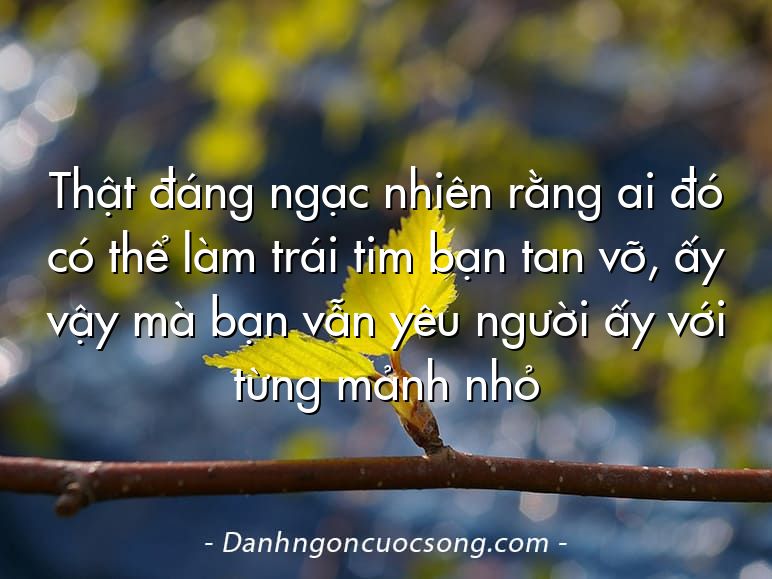 Thật đáng ngạc nhiên rằng ai đó có thể làm trái tim bạn tan vỡ, ấy vậy mà bạn vẫn yêu người ấy với từng mảnh nhỏ