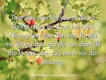 Thật đau đớn khi yêu ai đó và không nhận lại được tình yêu. Nhưng còn đau đớn hơn là yêu mà không bao giờ đủ can đảm để thổ lộ tình cảm của mình với đối phương.