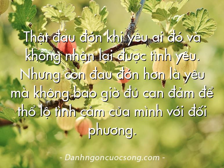 Thật đau đớn khi yêu ai đó và không nhận lại được tình yêu. Nhưng còn đau đớn hơn là yêu mà không bao giờ đủ can đảm để thổ lộ tình cảm của mình với đối phương.