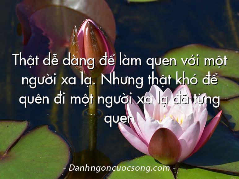 Thật dễ dàng để làm quen với một người xa lạ. Nhưng thật khó để quên đi một người xa lạ đã từng quen