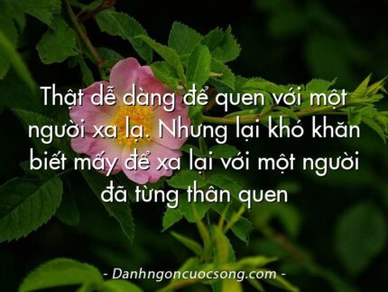 Thật dễ dàng để quen với một người xa lạ. Nhưng lại khó khăn biết mấy để xa lại với một người đã từng thân quen