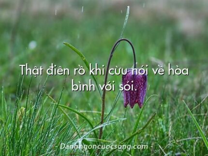 Thật điên rồ khi cừu nói về hòa bình với sói.
