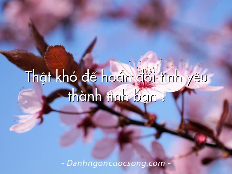 Thật khó để hoán đổi tình yêu thành tình bạn !