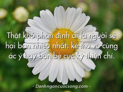Thật khó phân định ai là người sẽ hại bạn nhiều nhất: kẻ thù vô cùng ác ý hay bạn bè cực kỳ thiện chí.