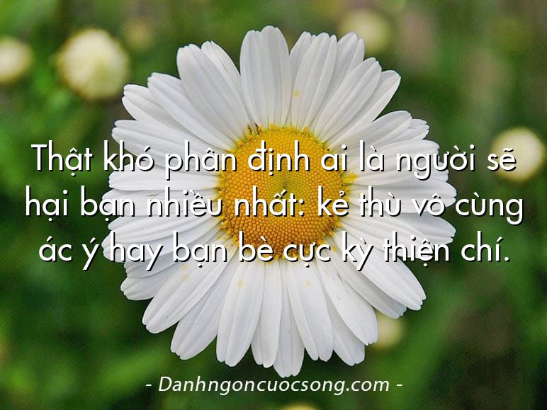 Thật khó phân định ai là người sẽ hại bạn nhiều nhất: kẻ thù vô cùng ác ý hay bạn bè cực kỳ thiện chí.