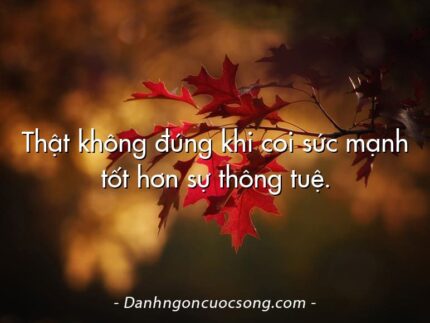 Thật không đúng khi coi sức mạnh tốt hơn sự thông tuệ.