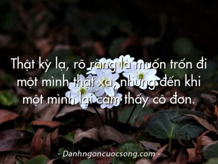 Thật kỳ lạ, rõ ràng là muốn trốn đi một mình thật xa, nhưng đến khi một mình lại cảm thấy cô đơn.