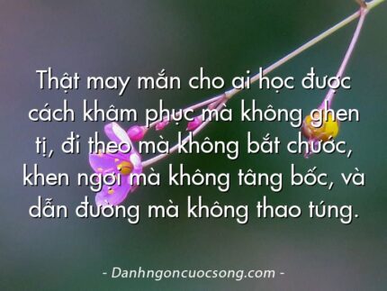 Thật may mắn cho ai học được cách khâm phục mà không ghen tị, đi theo mà không bắt chước, khen ngợi mà không tâng bốc, và dẫn đường mà không thao túng.