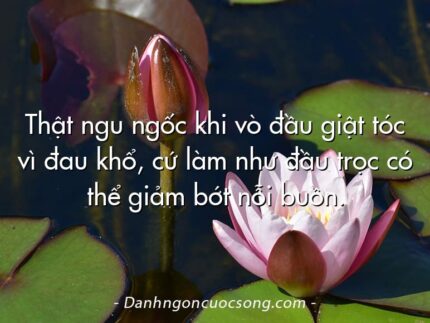 Thật ngu ngốc khi vò đầu giật tóc vì đau khổ, cứ làm như đầu trọc có thể giảm bớt nỗi buồn.