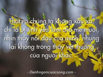 Thật ra chúng ta không xấu xa, chỉ là bị tình yêu làm cho mê muội, nhìn thấy nỗi đau của mình, nhưng lại không trông thấy vết thương của người khác.