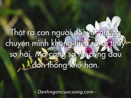 Thật ra con người đối với những chuyện mình không hiểu rõ sẽ thấy sợ hãi. Mà càng sợ thì càng đau đớn thống khổ hơn.