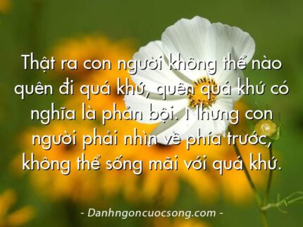 Thật ra con người không thể nào quên đi quá khứ, quên quá khứ có nghĩa là phản bội. Nhưng con người phải nhìn về phía trước, không thể sống mãi với quá khứ.