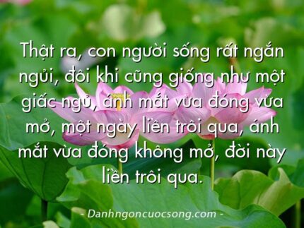 Thật ra, con người sống rất ngắn ngủi, đôi khi cũng giống như một giấc ngủ, ánh mắt vừa đóng vừa mở, một ngày liền trôi qua, ánh mắt vừa đóng không mở, đời này liền trôi qua.