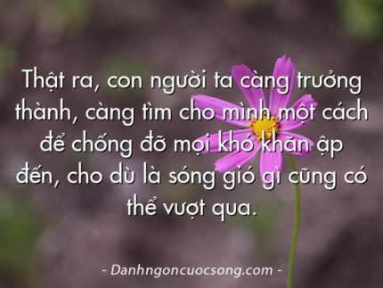 Thật ra, con người ta càng trưởng thành, càng tìm cho mình một cách để chống đỡ mọi khó khăn ập đến, cho dù là sóng gió gì cũng có thể vượt qua.
