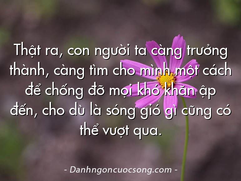 Thật ra, con người ta càng trưởng thành, càng tìm cho mình một cách để chống đỡ mọi khó khăn ập đến, cho dù là sóng gió gì cũng có thể vượt qua.
