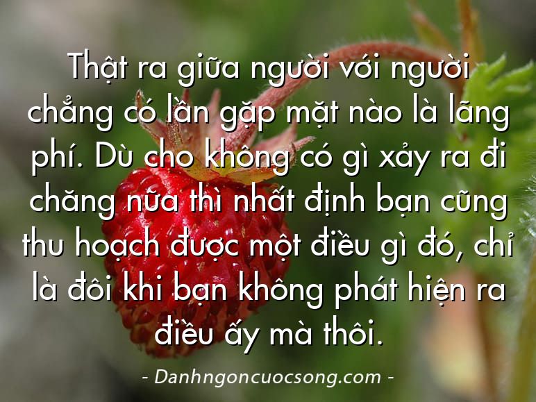 Thật ra giữa người với người chẳng có lần gặp mặt nào là lãng phí. Dù cho không có gì xảy ra đi chăng nữa thì nhất định bạn cũng thu hoạch được một điều gì đó, chỉ là đôi khi bạn không phát hiện ra điều ấy mà thôi.