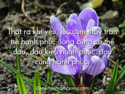 Thật ra khi yêu, lúc cảm thấy tràn trề hạnh phúc, lòng cũng có thể đau, đau kiểu hạnh phúc, đau cũng hạnh phúc.