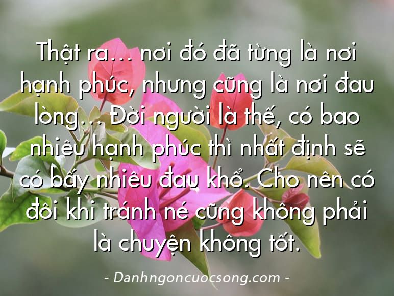 Thật ra… nơi đó đã từng là nơi hạnh phúc, nhưng cũng là nơi đau lòng… Đời người là thế, có bao nhiêu hạnh phúc thì nhất định sẽ có bấy nhiêu đau khổ. Cho nên có đôi khi tránh né cũng không phải là chuyện không tốt.