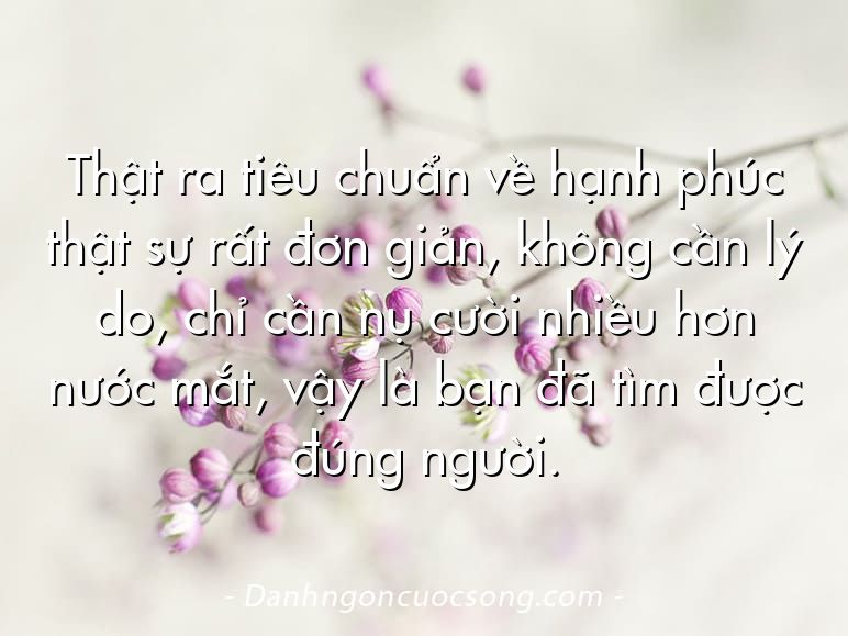 Thật ra tiêu chuẩn về hạnh phúc thật sự rất đơn giản, không cần lý do, chỉ cần nụ cười nhiều hơn nước mắt, vậy là bạn đã tìm được đúng người.