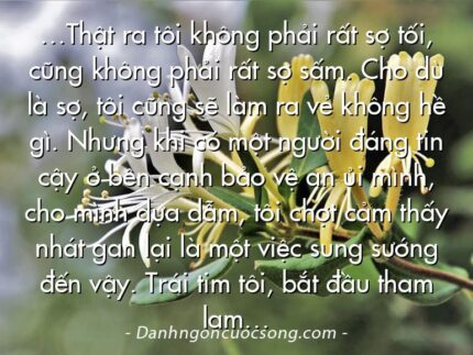 …Thật ra tôi không phải rất sợ tối, cũng không phải rất sợ sấm. Cho dù là sợ, tôi cũng sẽ làm ra vẻ không hề gì. Nhưng khi có một người đáng tin cậy ở bên cạnh bảo vệ an ủi mình, cho mình dựa dẫm, tôi chợt cảm thấy nhát gan lại là một việc sung sướng đến vậy. Trái tim tôi, bắt đầu tham lam…