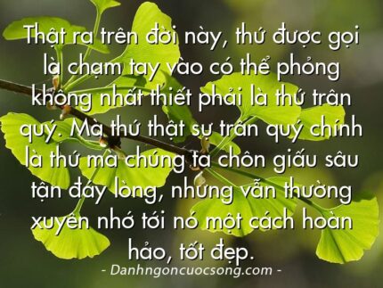 Thật ra trên đời này, thứ được gọi là chạm tay vào có thể phỏng không nhất thiết phải là thứ trân quý. Mà thứ thật sự trân quý chính là thứ mà chúng ta chôn giấu sâu tận đáy lòng, nhưng vẫn thường xuyên nhớ tới nó một cách hoàn hảo, tốt đẹp.