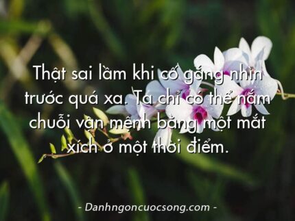 Thật sai lầm khi cố gắng nhìn trước quá xa. Ta chỉ có thể nắm chuỗi vận mệnh bằng một mắt xích ở một thời điểm.