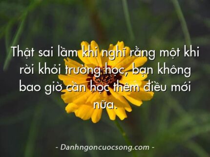 Thật sai lầm khi nghĩ rằng một khi rời khỏi trường học, bạn không bao giờ cần học thêm điều mới nữa.