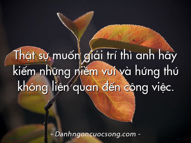 Thật sự muốn giải trí thì anh hãy kiếm những niềm vui và hứng thú không liên quan đến công việc.