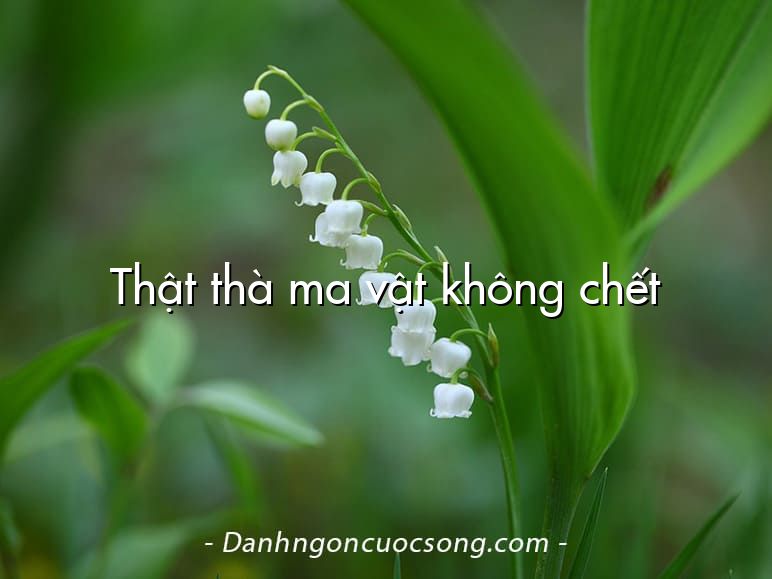Thật thà ma vật không chết