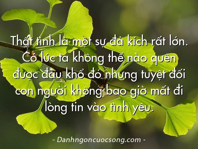 Thất tình là một sự đả kích rất lớn. Có lúc ta không thể nào quên được đau khổ đó nhưng tuyệt đối con người không bao giờ mất đi lòng tin vào tình yêu.