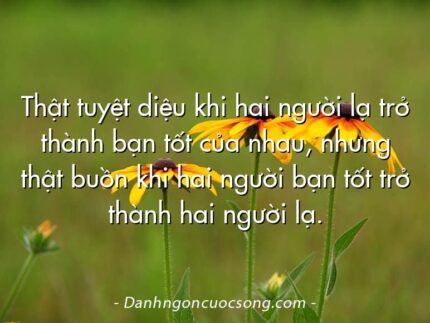 Thật tuyệt diệu khi hai người lạ trở thành bạn tốt của nhau, nhưng thật buồn khi hai người bạn tốt trở thành hai người lạ.