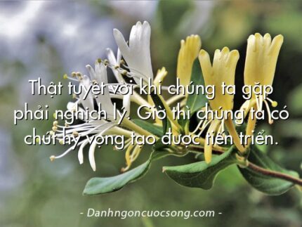 Thật tuyệt vời khi chúng ta gặp phải nghịch lý. Giờ thì chúng ta có chút hy vọng tạo được tiến triển.