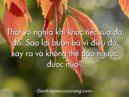 Thật vô nghĩa khi khóc tiếc sữa đã đổ. Sao lại buồn bã vì điều đã xảy ra và không thể đảo ngược được nữa?